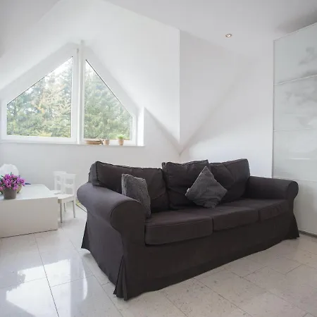 Spacious With Sauna And Two Balconies In Apartment